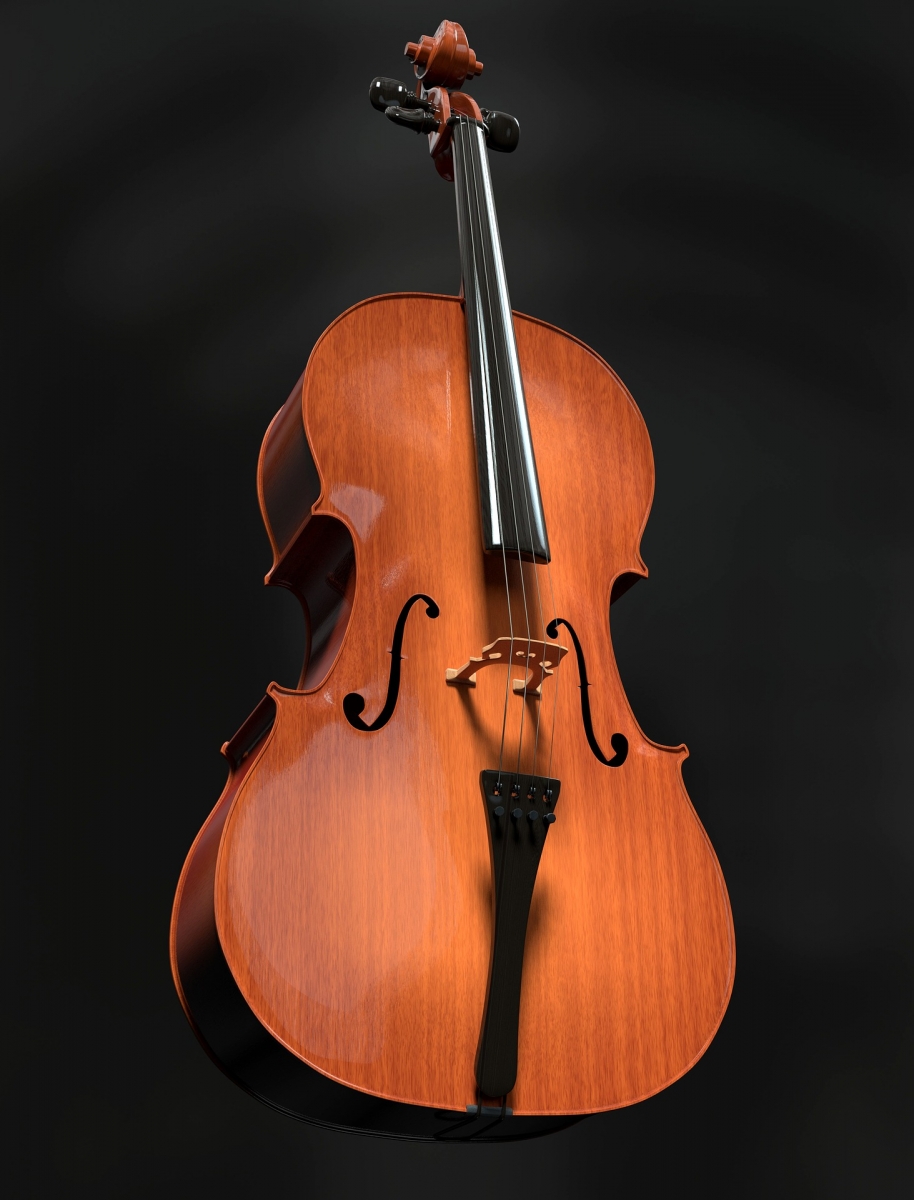 cello-2830670_1920